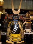 CIMG7796.JPG