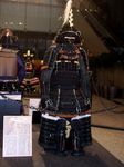 CIMG7820.JPG